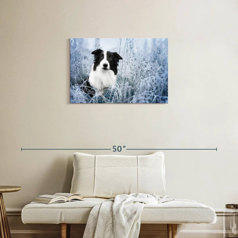 Winter Border Collie, 20" H x 30" W