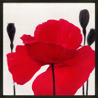 Red Poppy 2 Print by Ivo Stoyanov