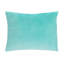 Coussin décoratif
