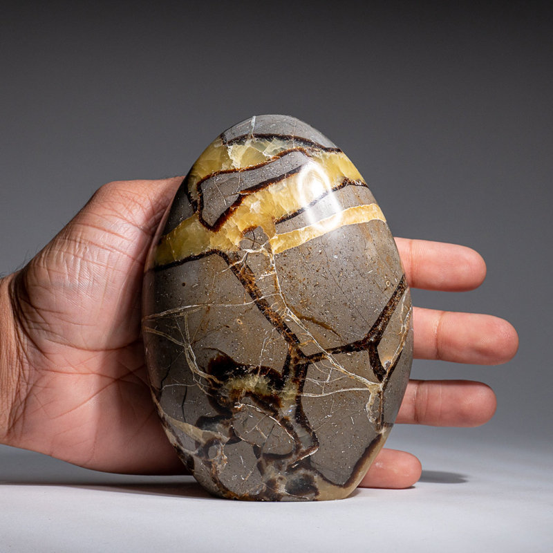 Polished Septarian Freeform from Madagascar (2.3 Lbs), 5" H x 4" W x 2.5" D, Black/Brown/Yellow