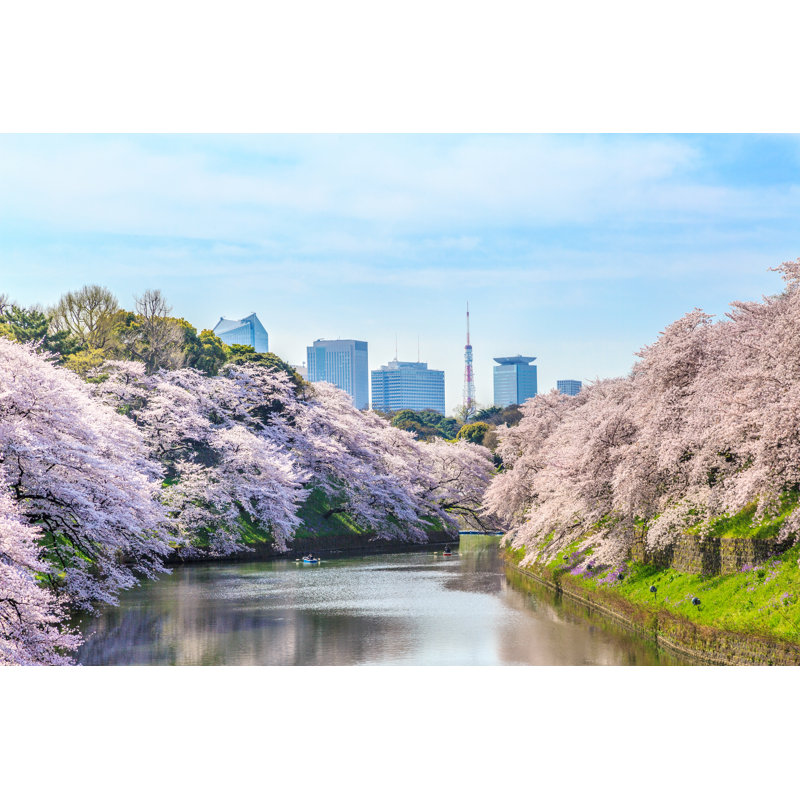 Cherry Chidorigafuchi 1 Piece Wrapped Canvas Wall Art, 51cm H x 76cm W x 3.8cm D