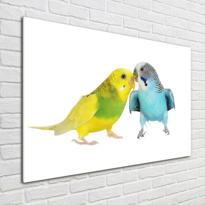 Budgies - No Frame Print on Glass