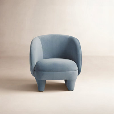 Wade Logan® Pine Velvet Armchair