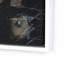 Squared up by Jamie Beckwith - Floater Frame Print on Canvas-1558285965-1557861638