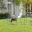Équipement de dressage d'agilité pour chien 8 pièces avec barres réglables, couleur bleue, sac de transport pour garder la trousse de saut en hauteur, rangement et transport