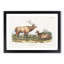 American Elks 1 Piece Single Picture Frame Painting-55544535-55544536