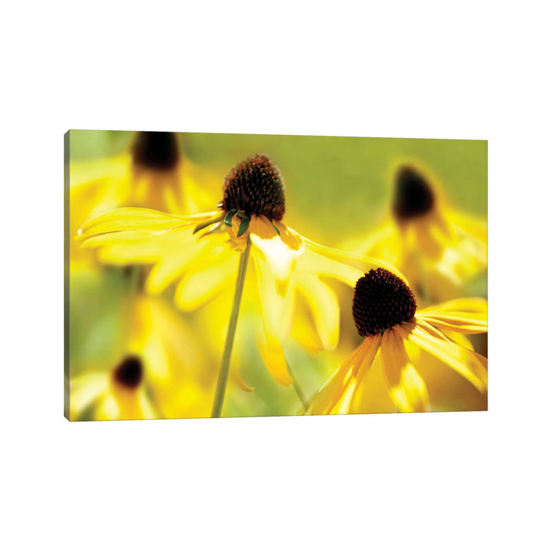 Susan Study II 1 Piece Wrapped Canvas Wall Art, 101.6 cm H x 66.04 cm W x 1.91 cm D