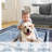 Modern Bordered Washable Rug Non Slip Throw Rugs for Entryway Soft Bedroom Entry Mat Non-Shedding Accent Rugs Black-460116599