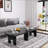 Modern Black Wooden Nesting Coffee Table Set