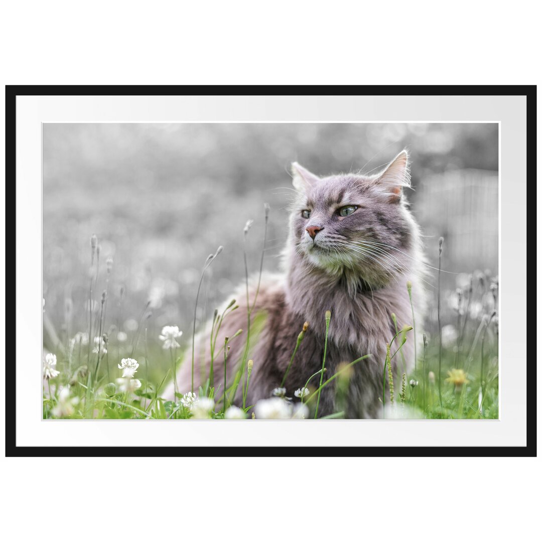 Gerahmtes Poster Katze in der Wildnis