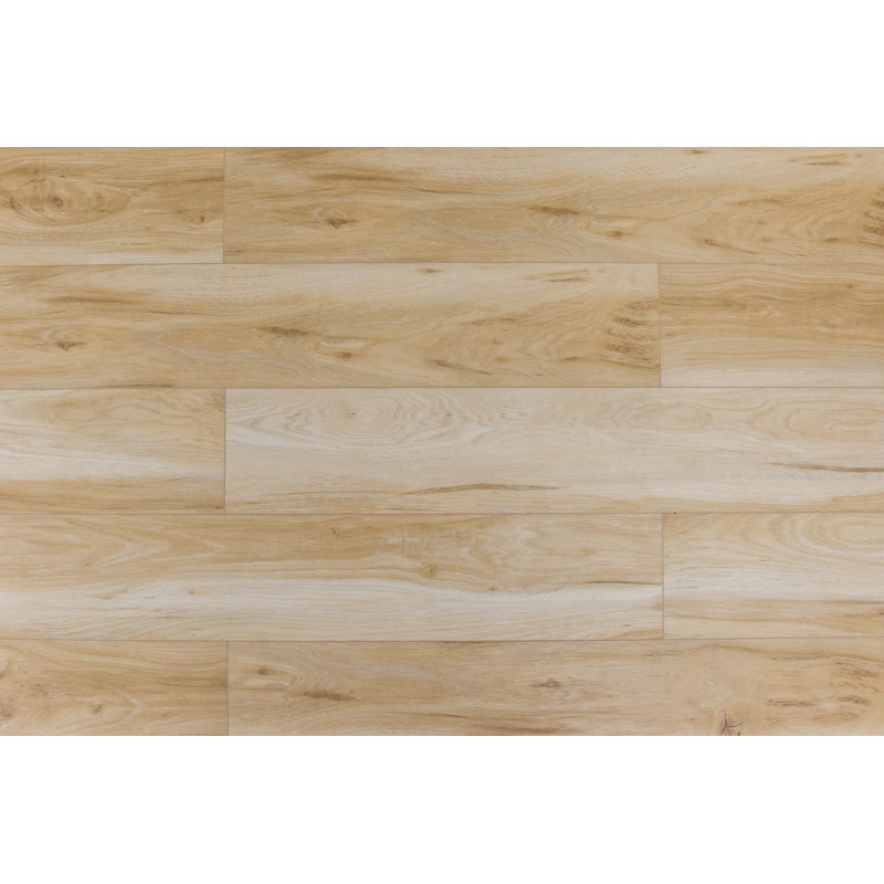 7" x 60" x 7mm Hickory Click SPC Lock Vinyl Plank, Lively Fallow