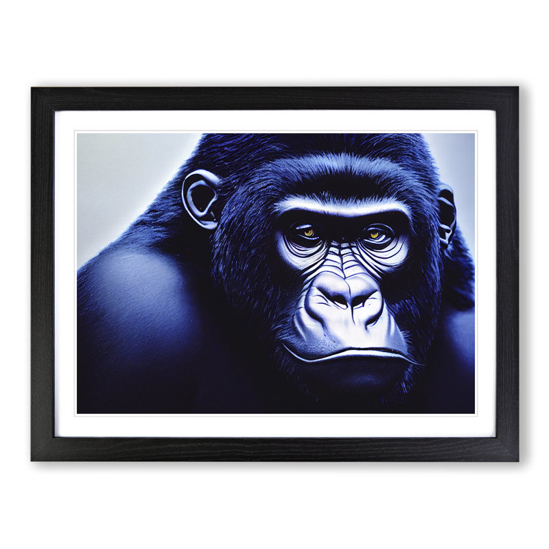 A Resplendent Gorilla - Single Picture Frame Print, Black Framed, 46cm H x 64cm W x 2cm D