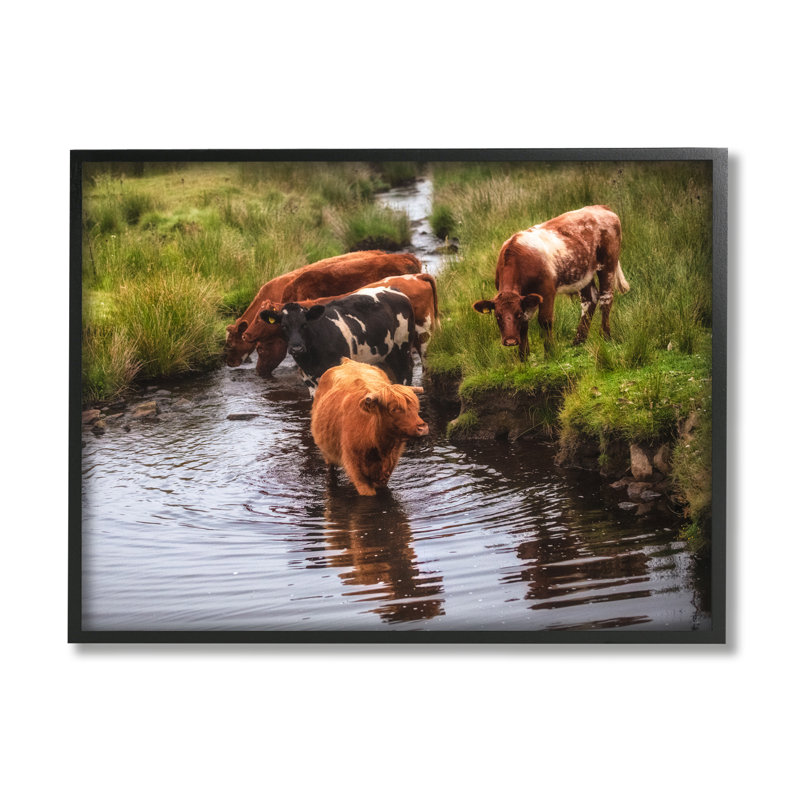 Photographie de cadre sur toile flottant, Giclée encadrée noir minuit, H 11 po x l 14 po x P 1,5 po