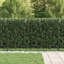 Powder-Coated Steel Fence Panels Included-124587327