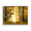 «Stupell Industries Autumn Path Landscape», art mural sur toile par Derek Scott-91297010