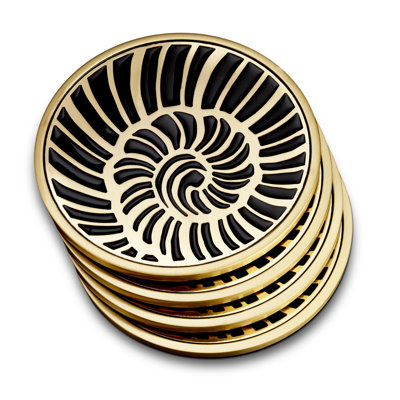 Shell Coasters