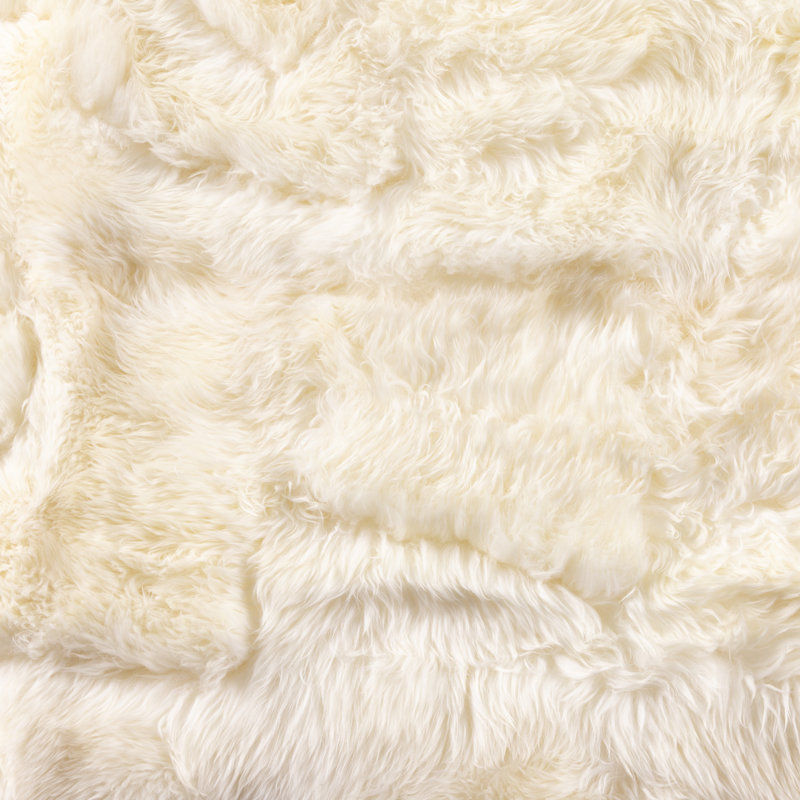 Lalo Sheepskin Area Rug in Cream, Novelty 5'7'' x 5'75''