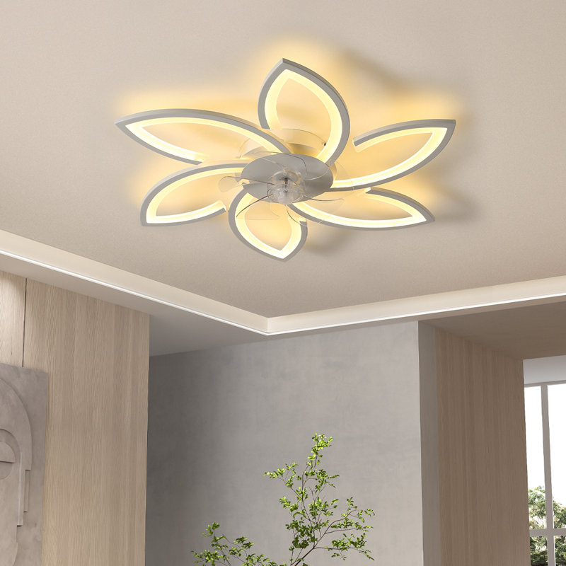 Ceiling Fan