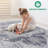 Cream/Blue/Inlaid Non Linting Stain Resistant Area Rugs-1065507845