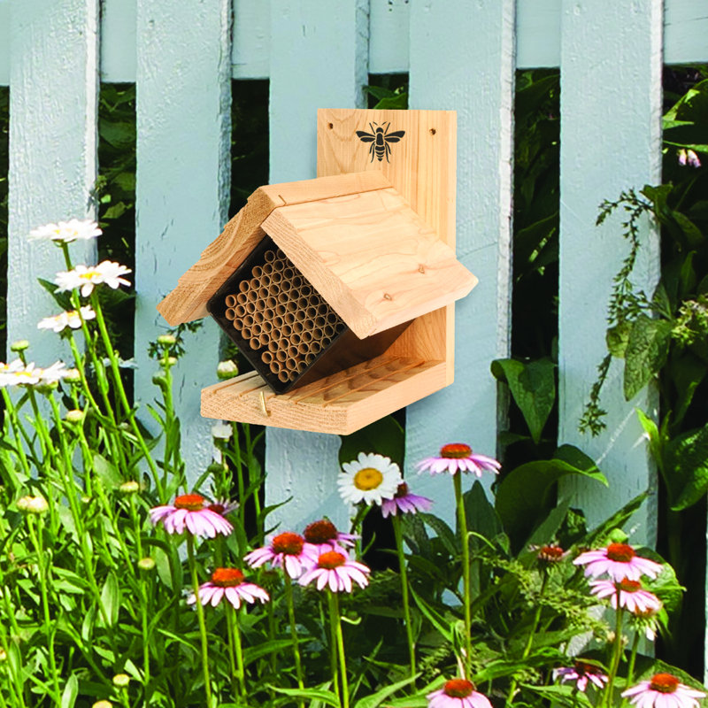 Beekeeping Beehive Accessory