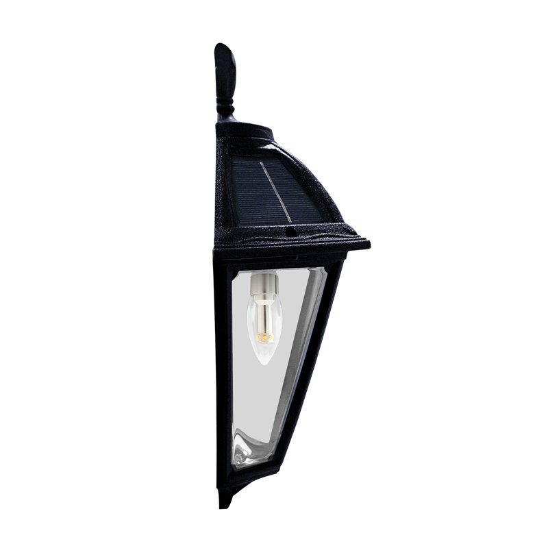 Ampoule solaire de bricolage Prairie, Noir