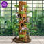 Arbre à chat 91 "élisha-1970229333