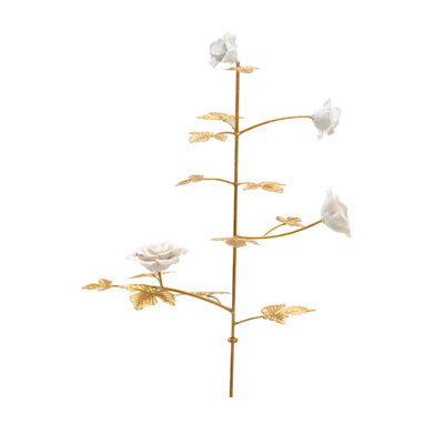 Tulip Roses Stem