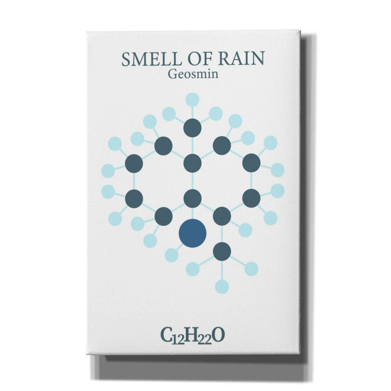 «Smell Of Rain Molecule» par Maxim, H 18 po x l 12 po x P 0,75 po
