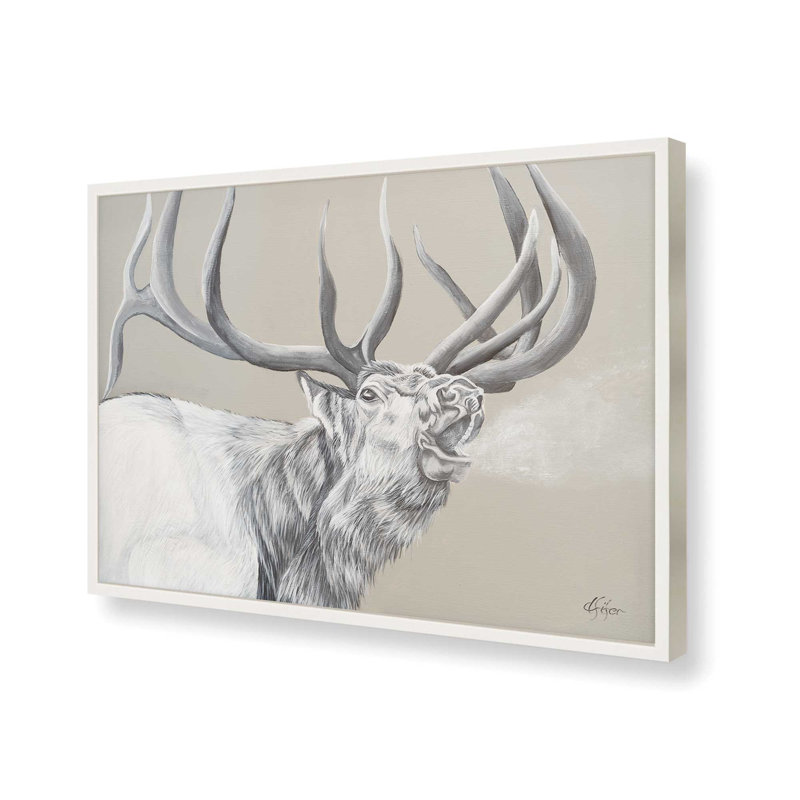 «Wail Bugle» par Diane Fifer, reproduction d'art, L 40 x H 30, Impression encadrée, Blanc
