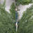 Eugyh 5FT Artificial Cypress Tree UV Resistant with Plastic Pot-1582246070