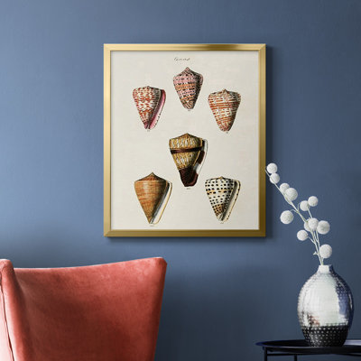 Toile encadrée de qualité supérieure Cone Shell Collection IV - prête à être accrochée