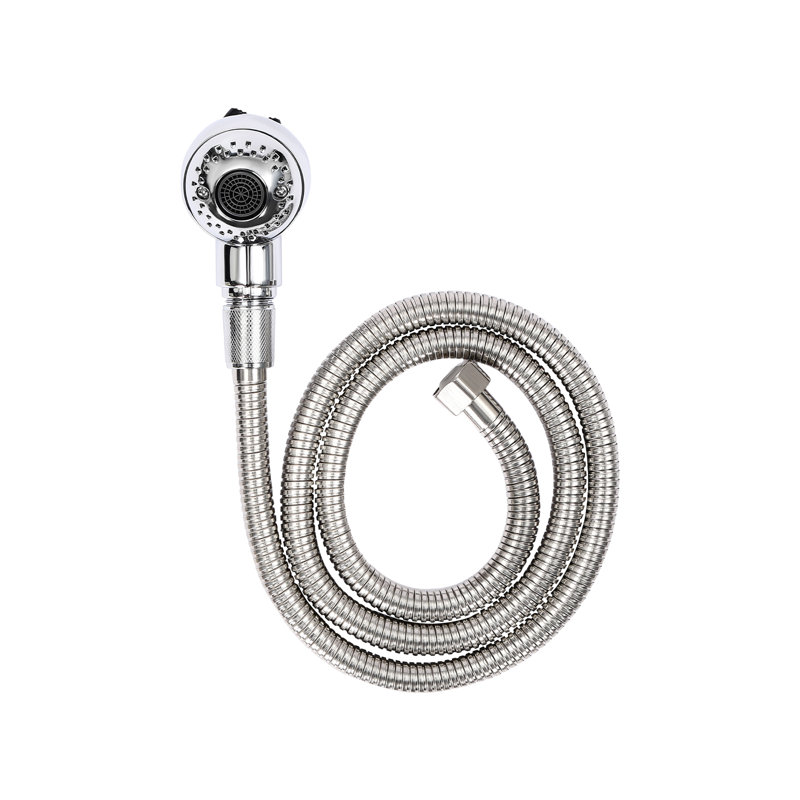 Rain Handheld Shower Head 1.5 GPM GPM