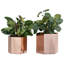 Handmade Metal Pot Planter
