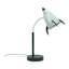 Sherise Metal Table Lamp