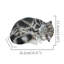 Animals Polyresin Garden Statue-1087264283