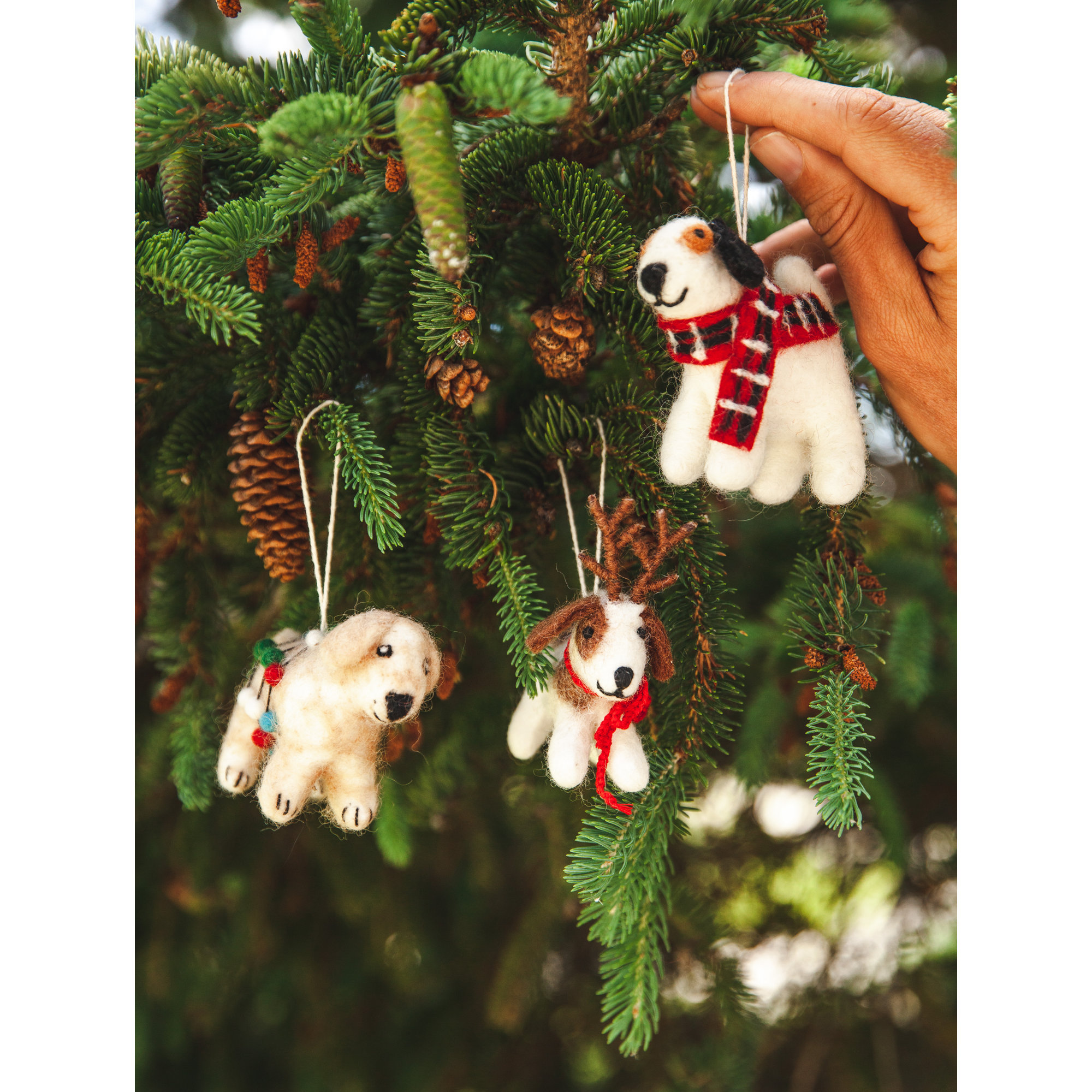 Felted Festive Pup Ornament - Max