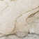 Wellsboro Area Rug