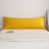 Ginger Yellow