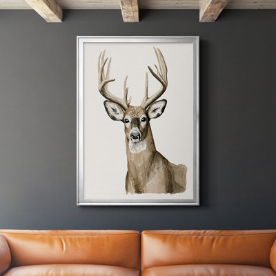 " Handsome Whitetail I "