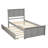 Platform Bed With  Trundle-583317970