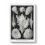 Prosobranchia Sea Snails by Ernst Haeckel - Wrapped Canvas-61837163