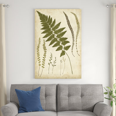 «Fern Portfolio II», peinture sur toile