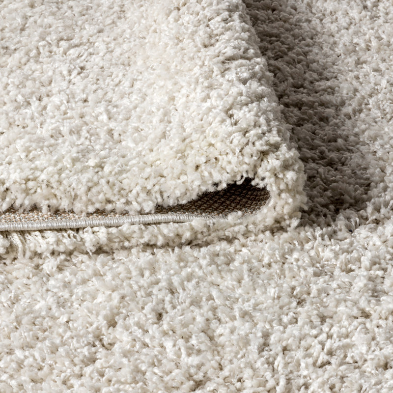 Tapis crème à poils longs Felicdad, Rectangle 3 pi 1 po x 5 pi