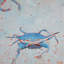 Blue Crab 2 Print by Phyllis Adams-64402088