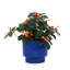 3 pots de fleurs en céramique, pot de fleurs moderne pour patio, jardin ou rebords de fenêtre-552270096