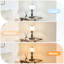 Lampe de table rétro à colonnes romaines traditionnelles avec abat-jour en verre givré (ampoule incluse)