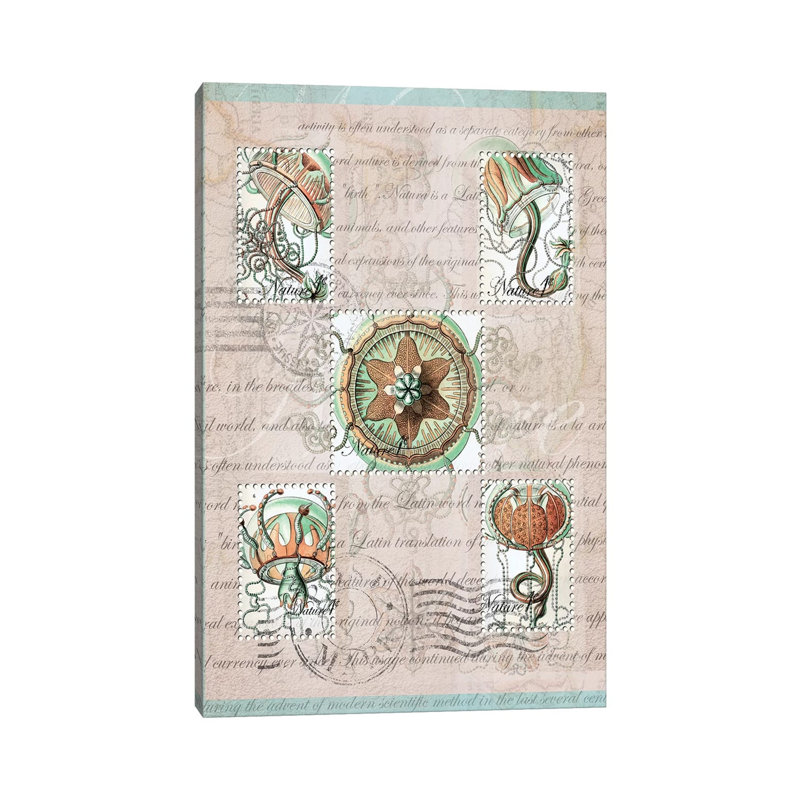 Vintage Nature #10 by Rnob - Gallery-Wrapped Canvas Giclée on Canvas, Canvas, 20.32 cm H x 30.48 cm W