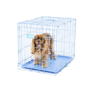 Caisse pour animaux Carlson