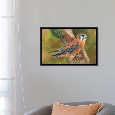 «American Kestrel», impression sur toile