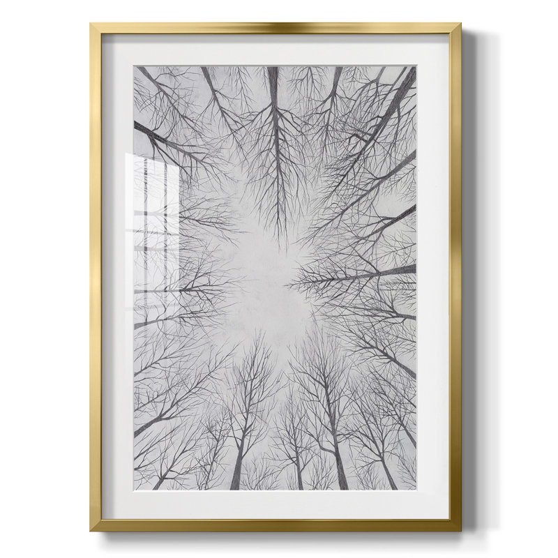 Deciduous Canopy I -Framed Print, Gold